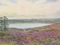 Old postcards of Frensham Ponds show how things have changed – or not!