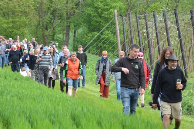 Hogs Back ‘beats the bounds' at hop blessing – but no head banging!