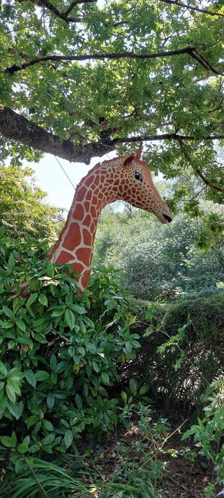 giraffe sculpture