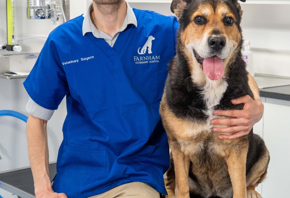 <p>Farnham Veterinary Group clinical director Kevin Clayton</p>