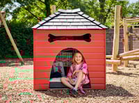 Grand designs: School girl wins junior architect competition