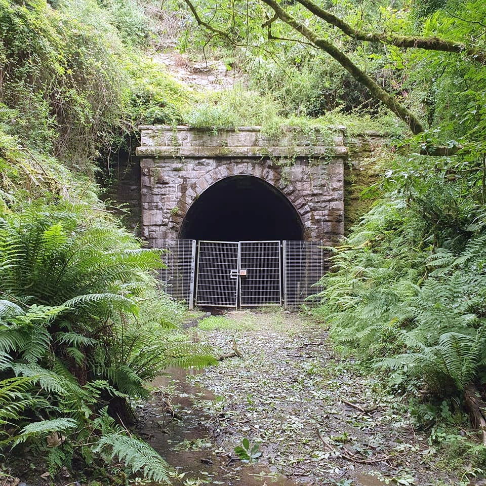 Looking towards the abandoned Trelill tunnel. Picture: Nick Hairs