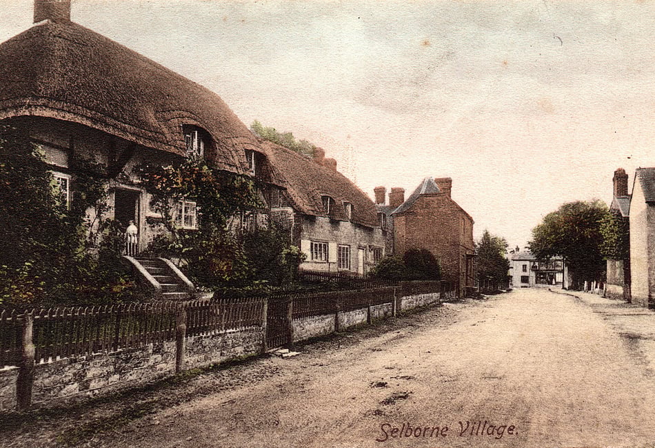 <p>An undated postcard of the main street through Selborne village, probably dating back more than 100 years</p>