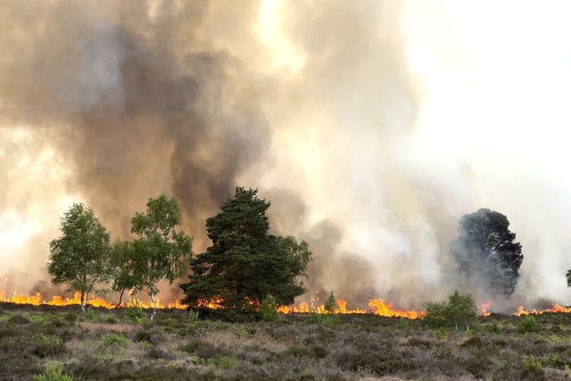 People were still lighting barbecues as Longmoor burned, say rangers