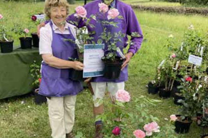 Best in show Seale Rose Garden, Catherine May and David May, Unusual Plants Fair, Gilbert White's House, Selborne, June 17th and 18th 2023.