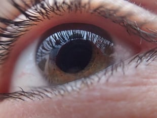 Farnham opticians is focused on National Eye Health Week