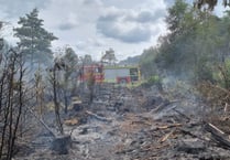 Hampshire firefighters warn people not to barbecue on heathland