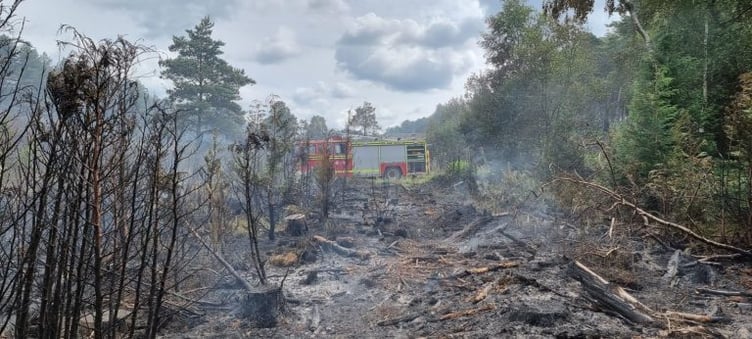 Aftermath of Hartley Wintney heathland fire, June 2023.