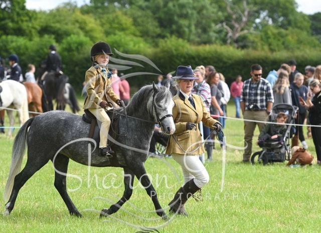Fawley Horse and Dog Show returns this Sunday