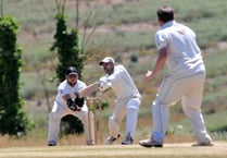 Devon Cricket League F Division (W). Stokeinteignhead vs South Brent. 