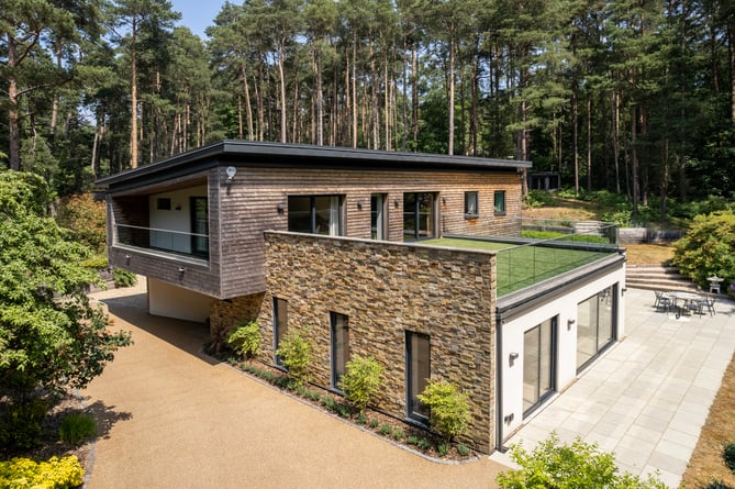 botony wood