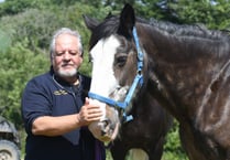 Meet the vet who is bringing us fine wines