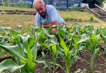 Gardening club celebrate birthday crop