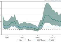 New post-Brexit quota revives herring trade