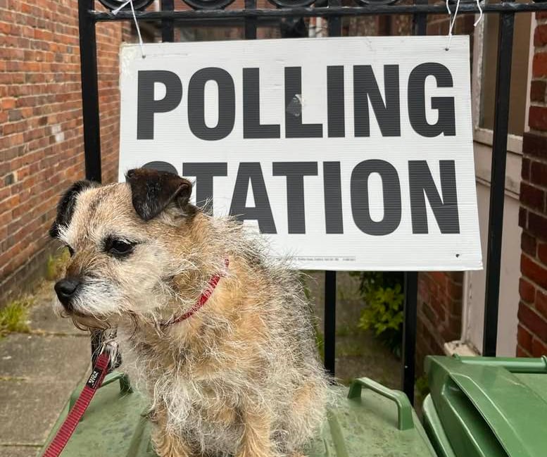 <p>These politicians are making a right old dogs dinner of things: vote canine!</p>