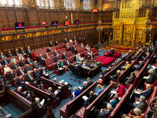 Is it any wonder voter turnout is so low – look who we're voting for!