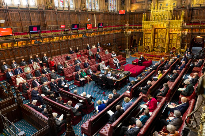 'The House of Lords is increasingly filled by those ‘favoured’ by the outgoing prime ministers (and there have been a lot of them lately)'
