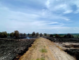 Heathland rangers: We're sitting on a tinder box – help the heaths...
