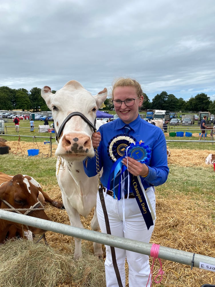 Megan from Callington with Rose Hill Pink Indiana. Megan and her family won multiple rosettes including champion and reserve champion, breed champion, 1st place in cow in milk and heifer in milk. “We are really pleased” Megan explained. Megan and her family are planning on attending Stithians and Camelford show next.
