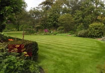 Medstead garden opening gate for National Garden Scheme next month