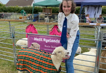 A selection of local winners at this years Liskeard show