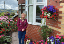 Meet the 90-year-old woman with the best garden in Brecon!