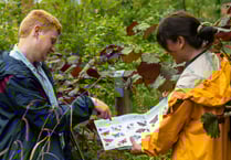 Spend time outdoors and join in this year's Big Butterfly Count