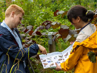 Spend time outdoors and join in this year's Big Butterfly Count