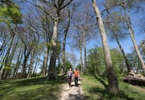 South Downs Way ranked among UK’s top long-distance hikes