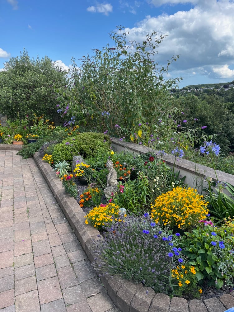 Gallery image 13