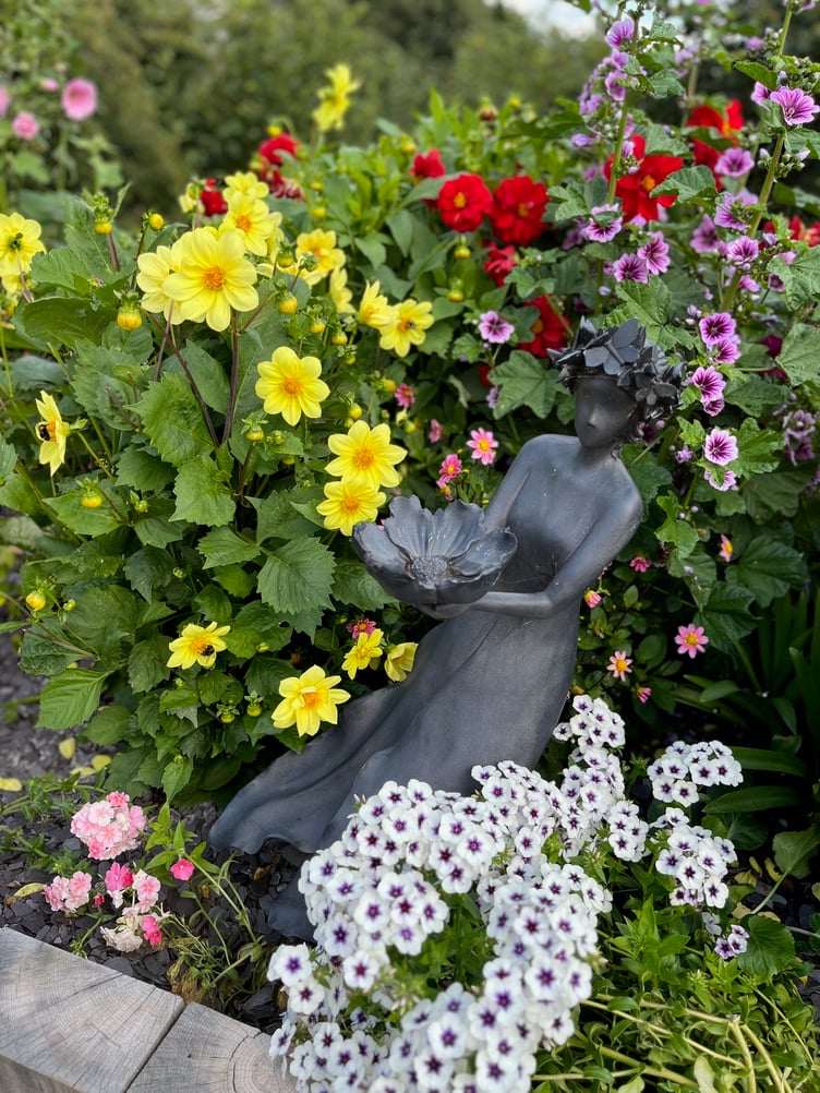 Gallery image 20