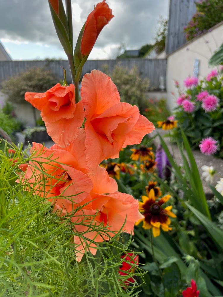 Gallery image 23