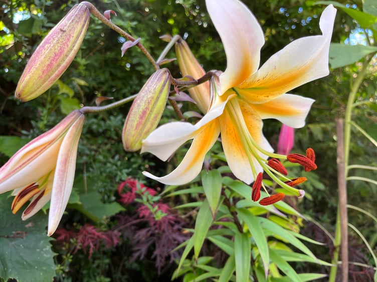 Gallery image 27