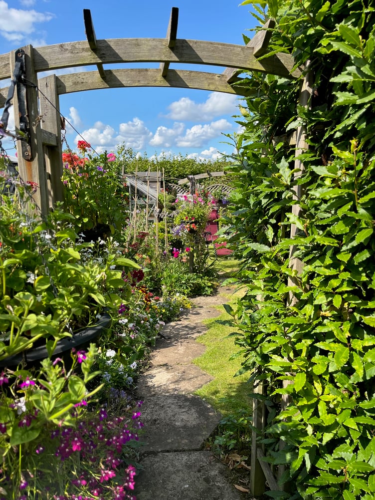 Gallery image 28