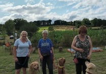 Pooch pageant at Elton Giant Mazes raises hundreds for charity