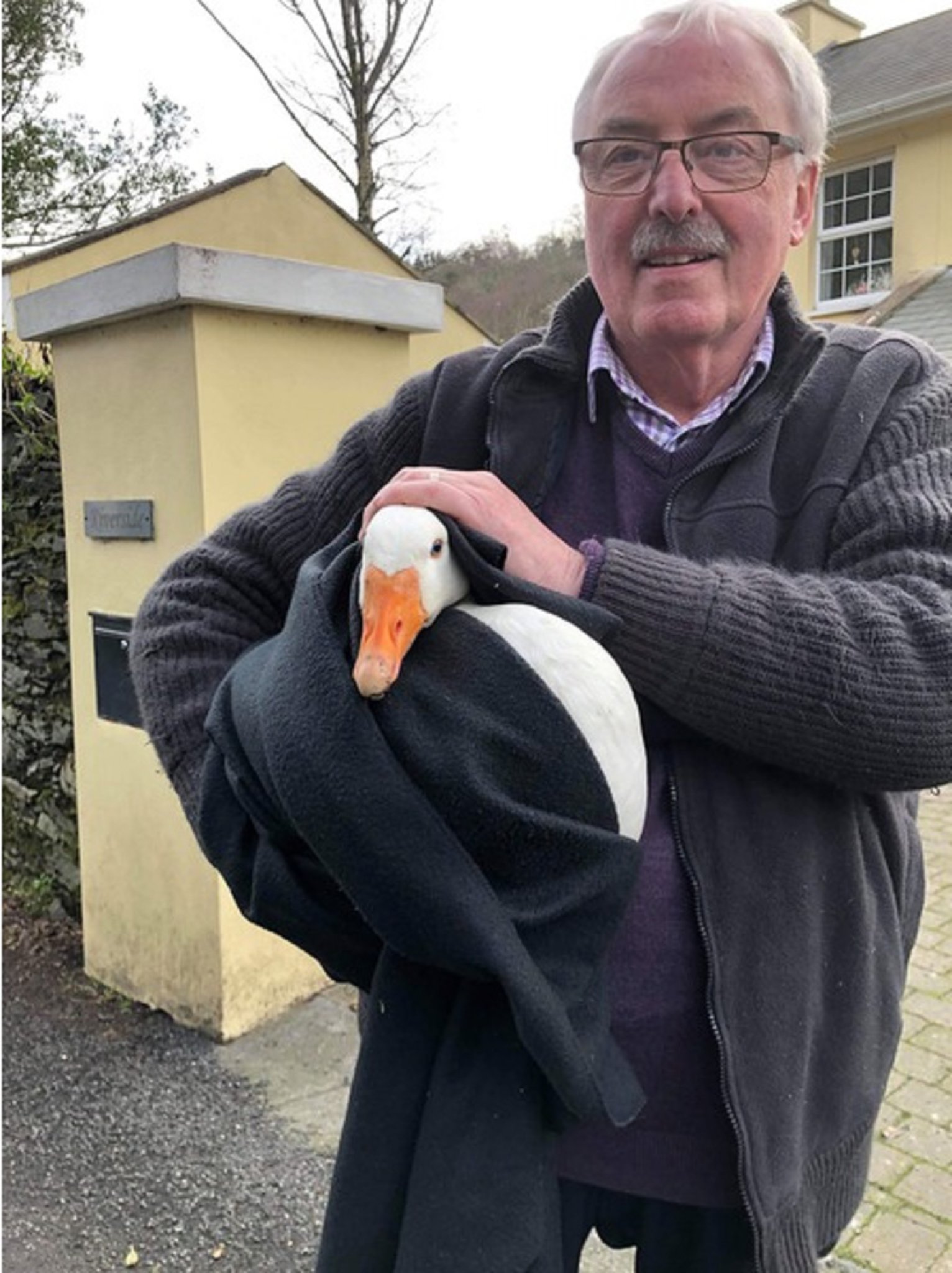 David Cole with a feral goose