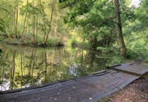 Water relief as major funding awarded to Bordon pond revival project
