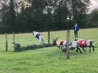 Party was baa-rilliant way to help Froxfield playscheme