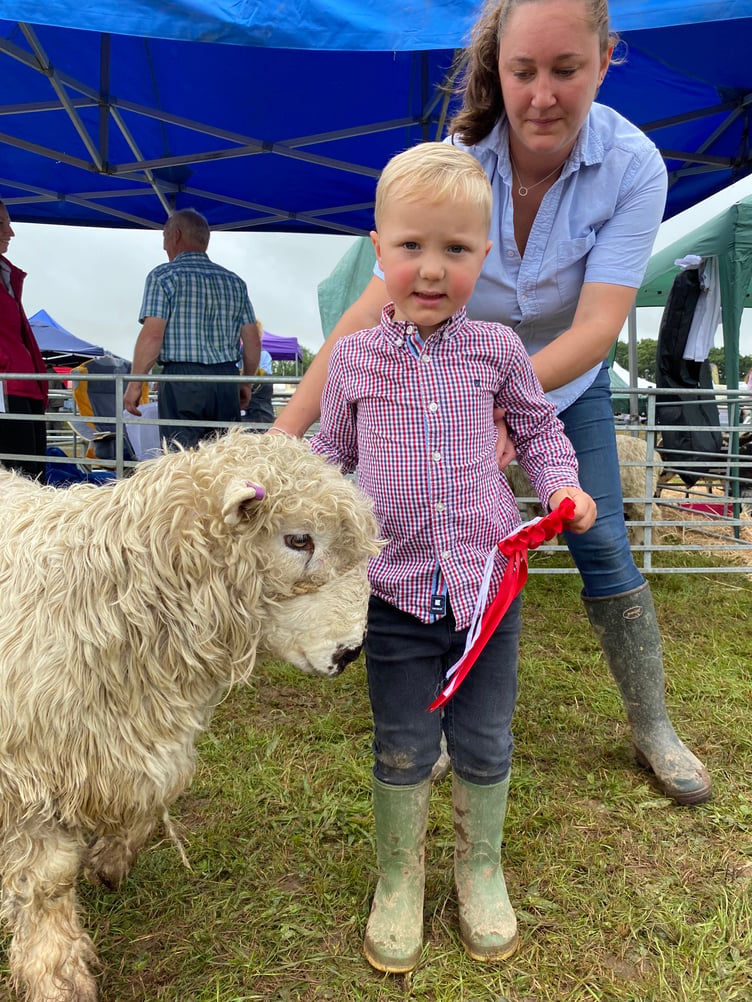 Ruben Dawe from Lamerton was given a 1st in the junior young handler class with his Greyface Dartmoor