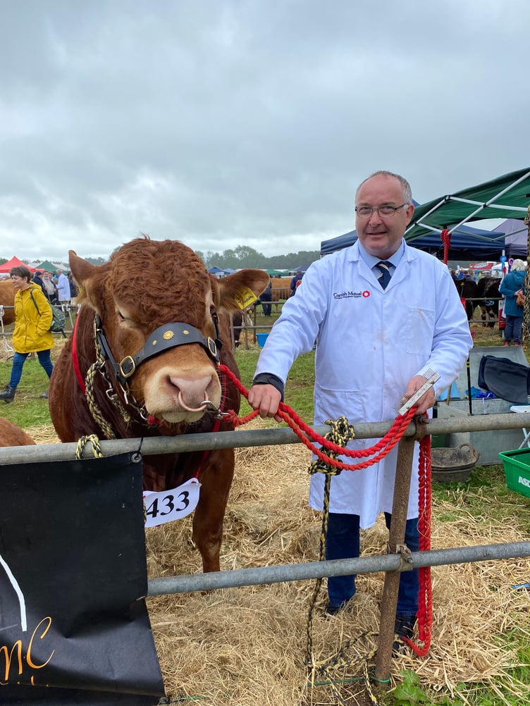 Chris Eddie from Hayle won the pedigree limousin championship with Treloweth Travolta. Chris “very good” about winning and has been showing in Launceston show for the past eight years