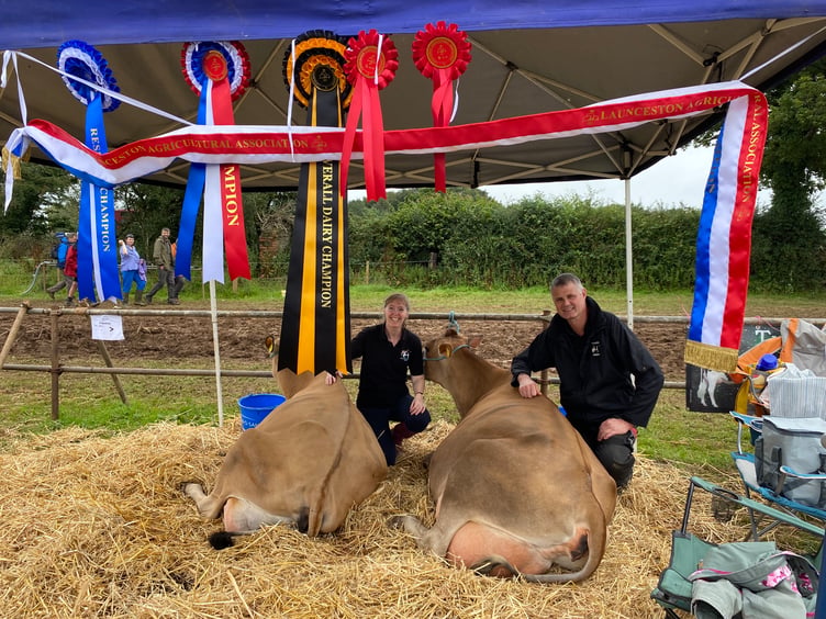 David and Nicola Renfree from Quethiock had an array of rosettes hanging over their cattle. The pair took home the interbreed dairy champion with one of the jersey cows called ‘Tracey’. “We are really pleased” David said. “Our hard work has paid off, we’ve been really busy the past couple of days getting them to look their best”