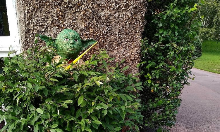 Malcolm Curley’s Yoda sculpture on display at the trail
