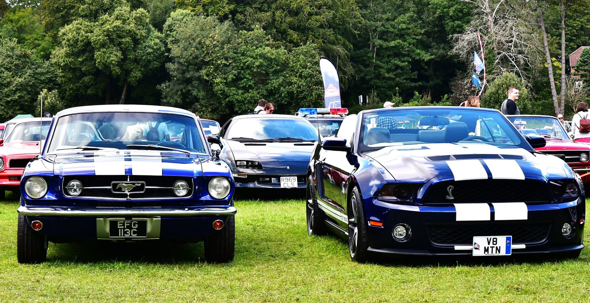 Some of the cars on show at the event