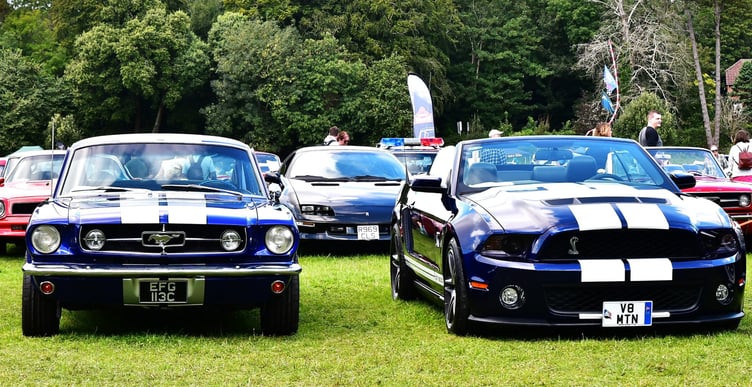 Some of the cars on show at the event