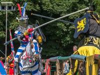 Awesome programme at South Downs Show