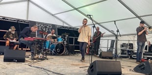 Sounds great as charity music festival comes to Liss pub