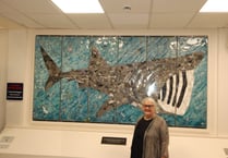 Basking shark is unveiled at airport