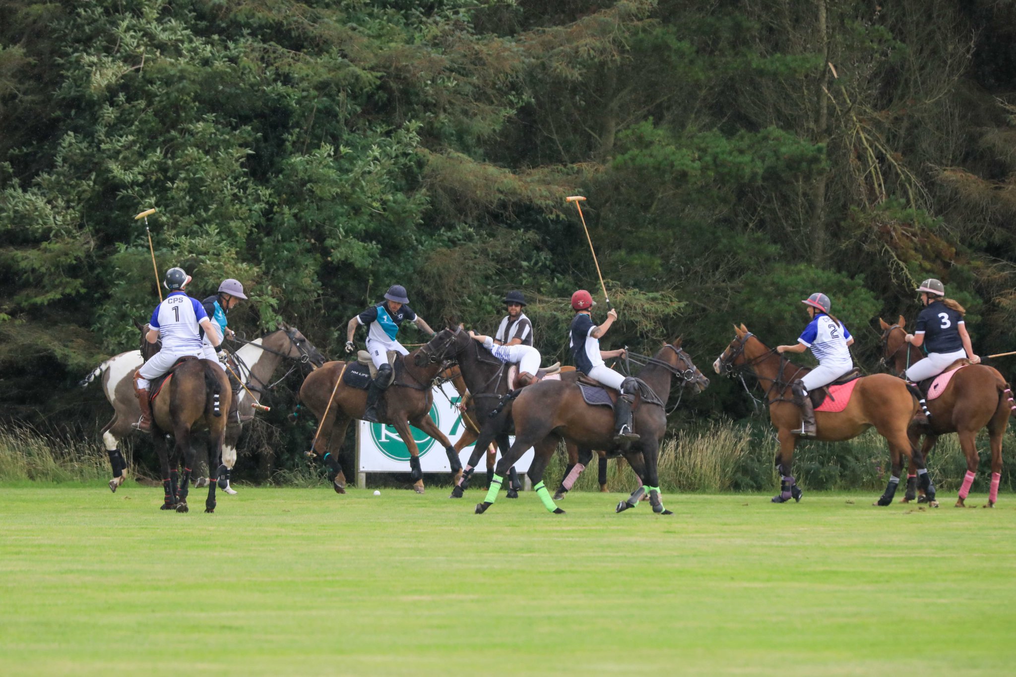 The first edition of the Viking Polo Cup was hosted by Triskelion Polo Club Ballacooiley Equestrian Estate in Ballaugh at the weekend. All photographs - and many more - were taken by Callum Staley (CJS Photography) and are available to order