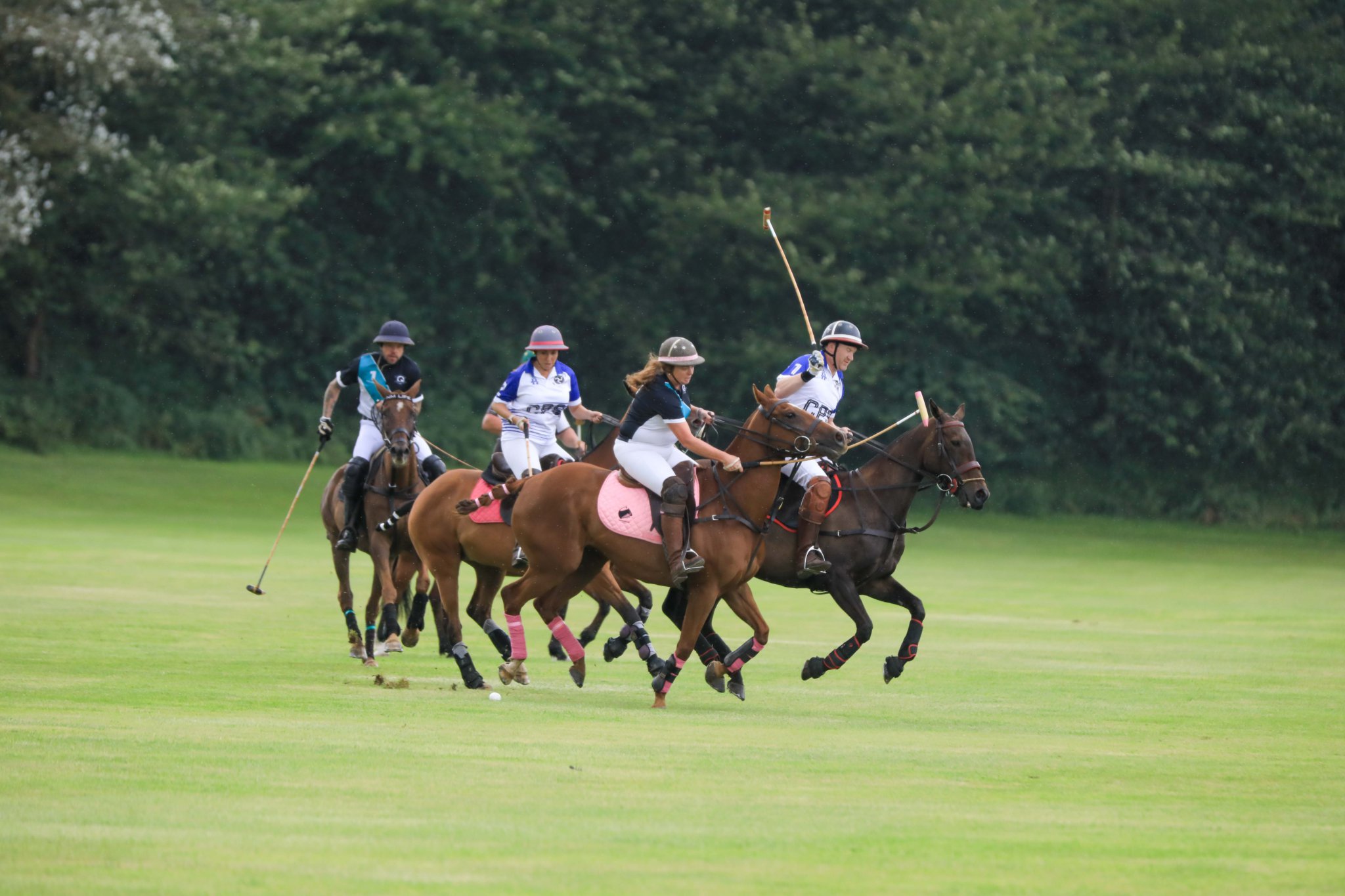 The Viking Polo Cup. Photo by Callum Staley (CJS Photography)