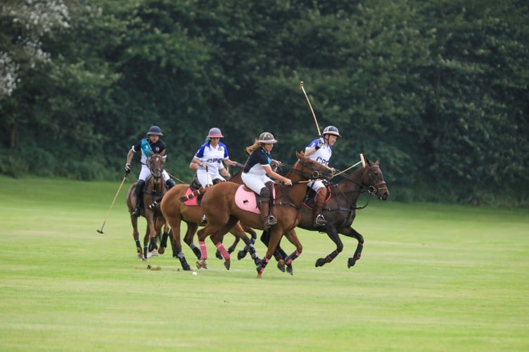 The Viking Polo Cup. Photo by Callum Staley (CJS Photography)